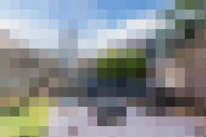 de Quaylaan 48 Grave thumbnail 24