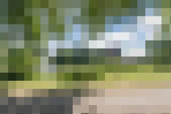 de Quaylaan 48 Grave thumbnail 30