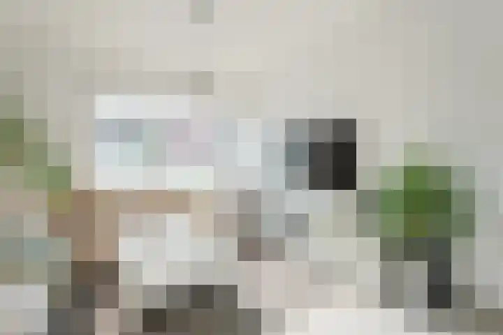 de Quaylaan 48 Grave thumbnail 7