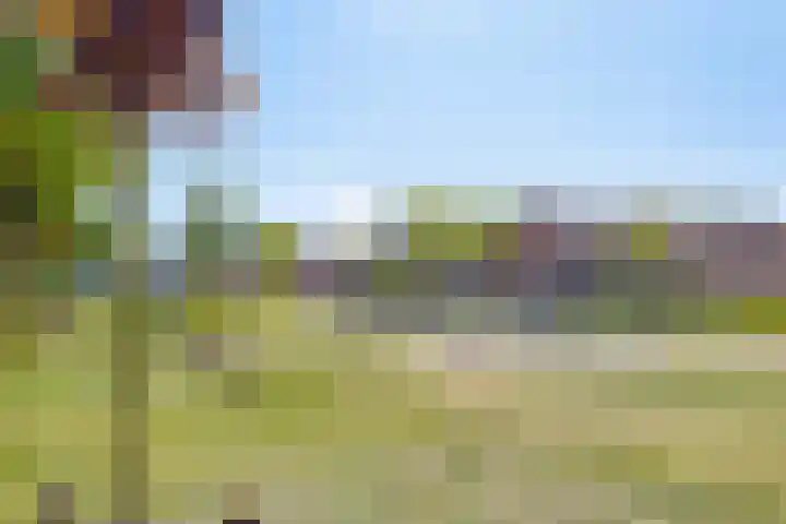 de Quaylaan 52 Grave thumbnail 25