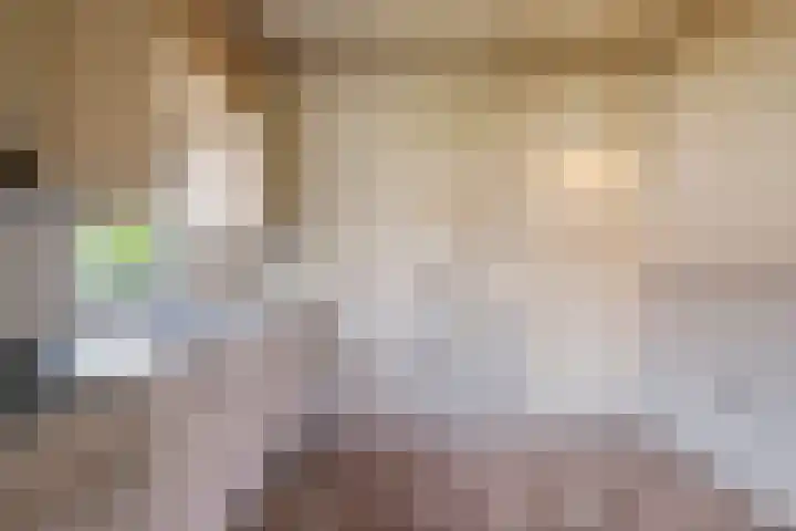 de Quaylaan 75 Grave thumbnail 13