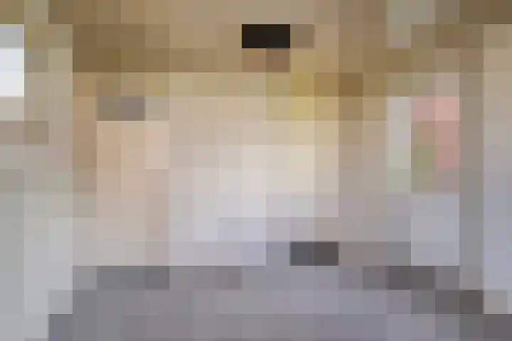 de Quaylaan 75 Grave thumbnail 15
