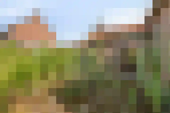 de Quaylaan 75 Grave thumbnail 23
