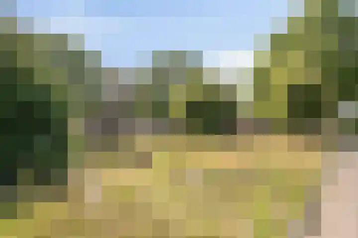 de Quaylaan 75 Grave thumbnail 27