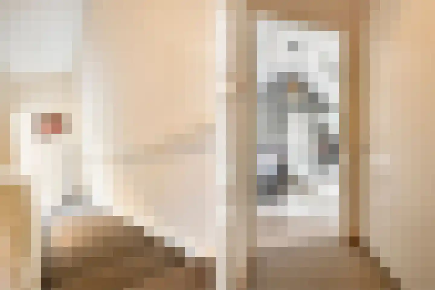 De Quaystraat 18 Sint-Oedenrode thumbnail 32