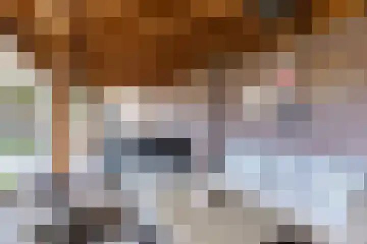 de Quaystraat 2 Rijen thumbnail 24