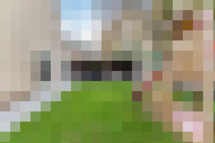 de Quaystraat 2 Rijen thumbnail 25