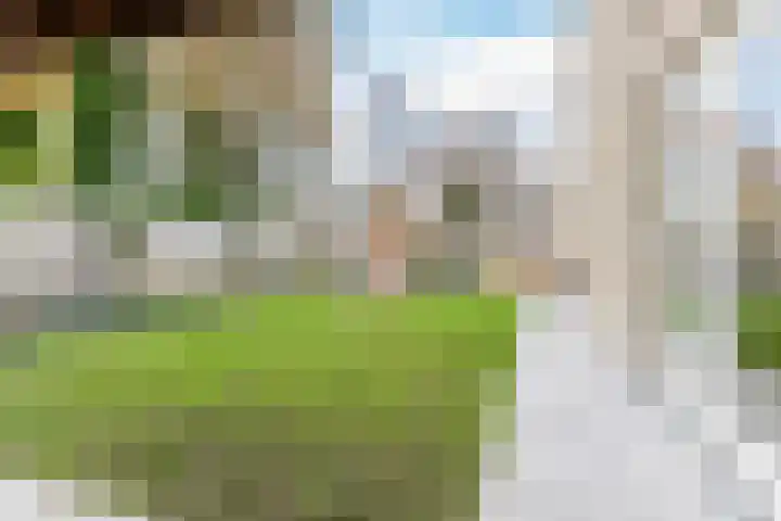 de Quaystraat 2 Rijen thumbnail 26