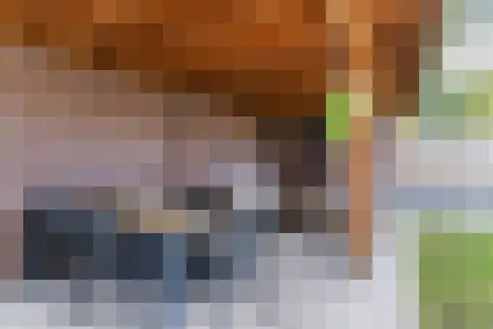 de Quaystraat 2 Rijen thumbnail 29