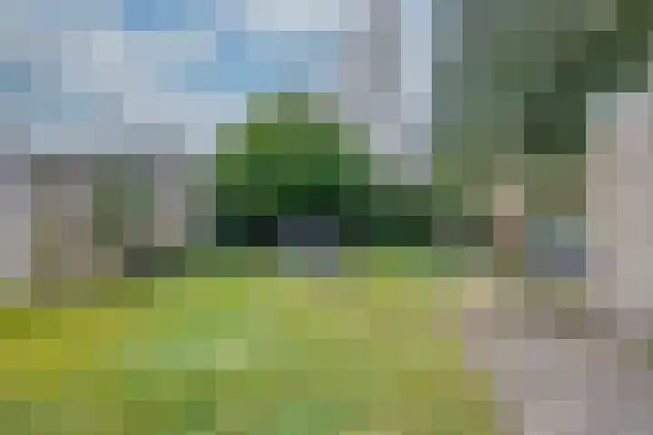 de Quaystraat 23 Rijen thumbnail 37