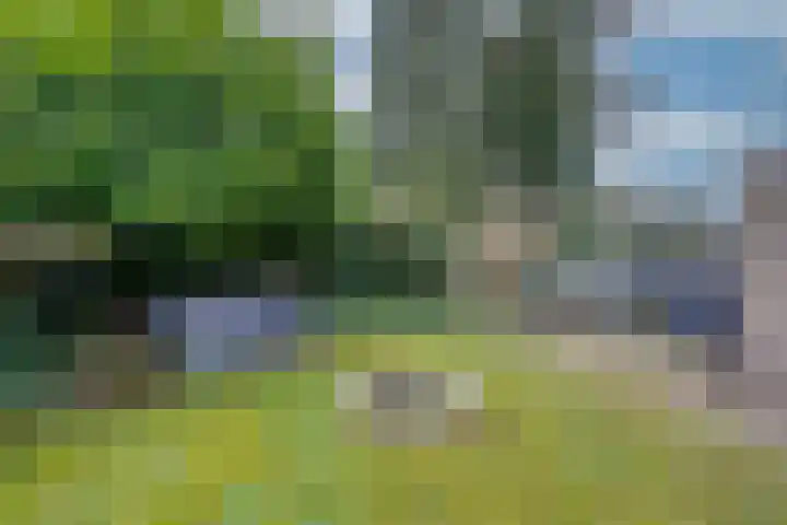 de Quaystraat 23 Rijen thumbnail 38