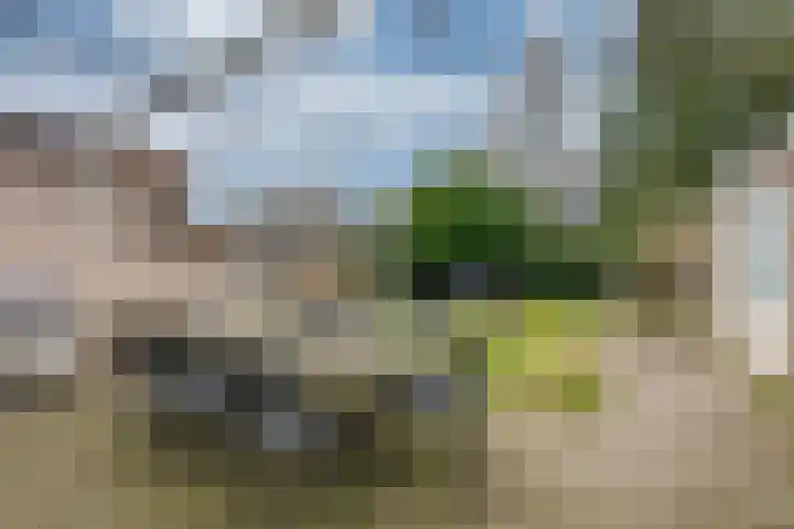 de Quaystraat 23 Rijen thumbnail 39