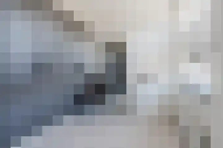 De Quaystraat 38 Sint-Oedenrode thumbnail 6