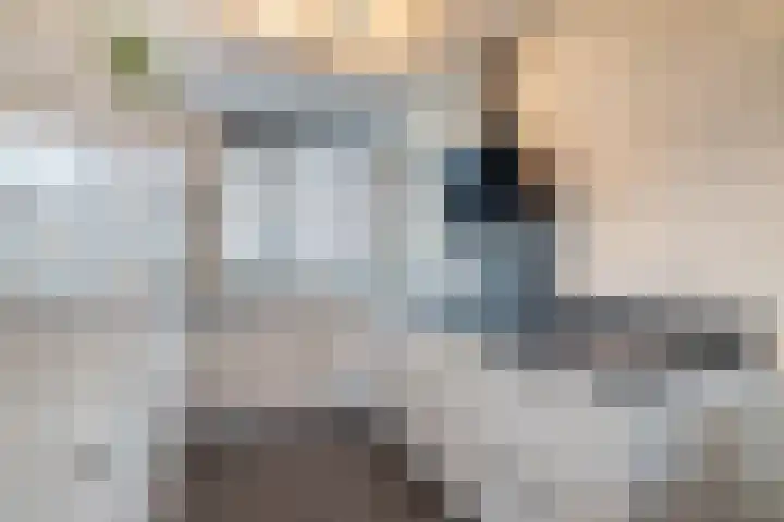 De Raaf 18 Almelo thumbnail 11