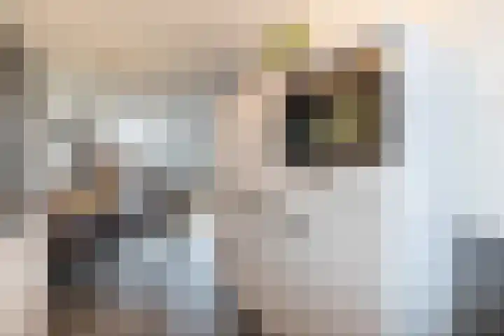 De Raaf 18 Almelo thumbnail 12