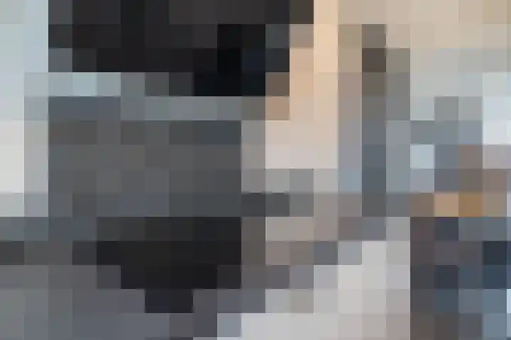 De Raaf 18 Almelo thumbnail 13