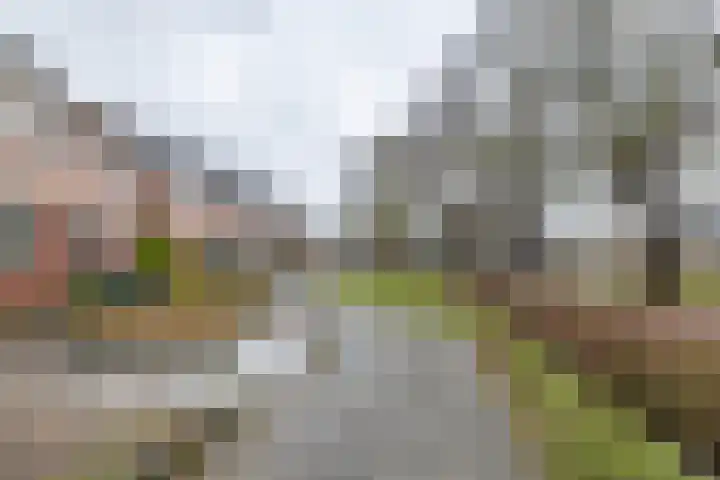 De Raaf 18 Almelo thumbnail 29