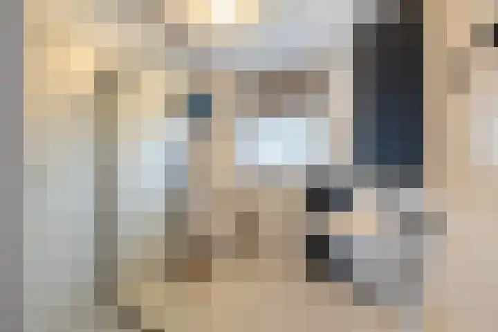 De Raaf 18 Almelo thumbnail 4