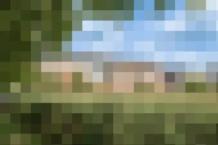 De Raaf 35 Culemborg thumbnail 37