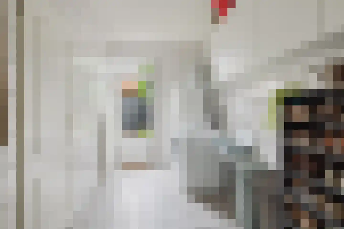 De Raaiberg 5 Rijsbergen thumbnail 30