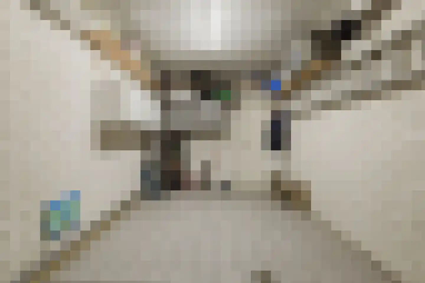 De Raaiberg 5 Rijsbergen thumbnail 31