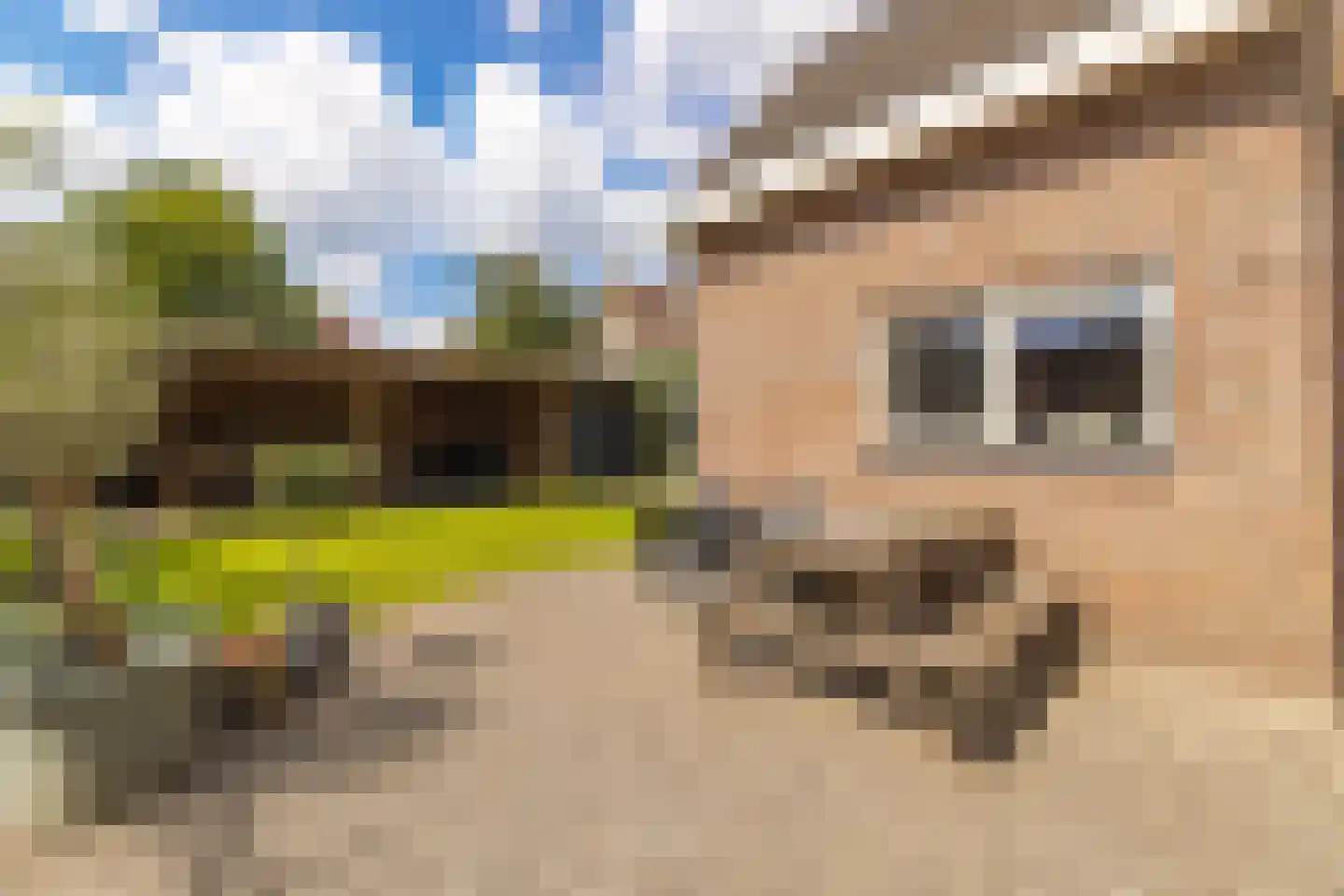 De Raaiberg 5 Rijsbergen thumbnail 36