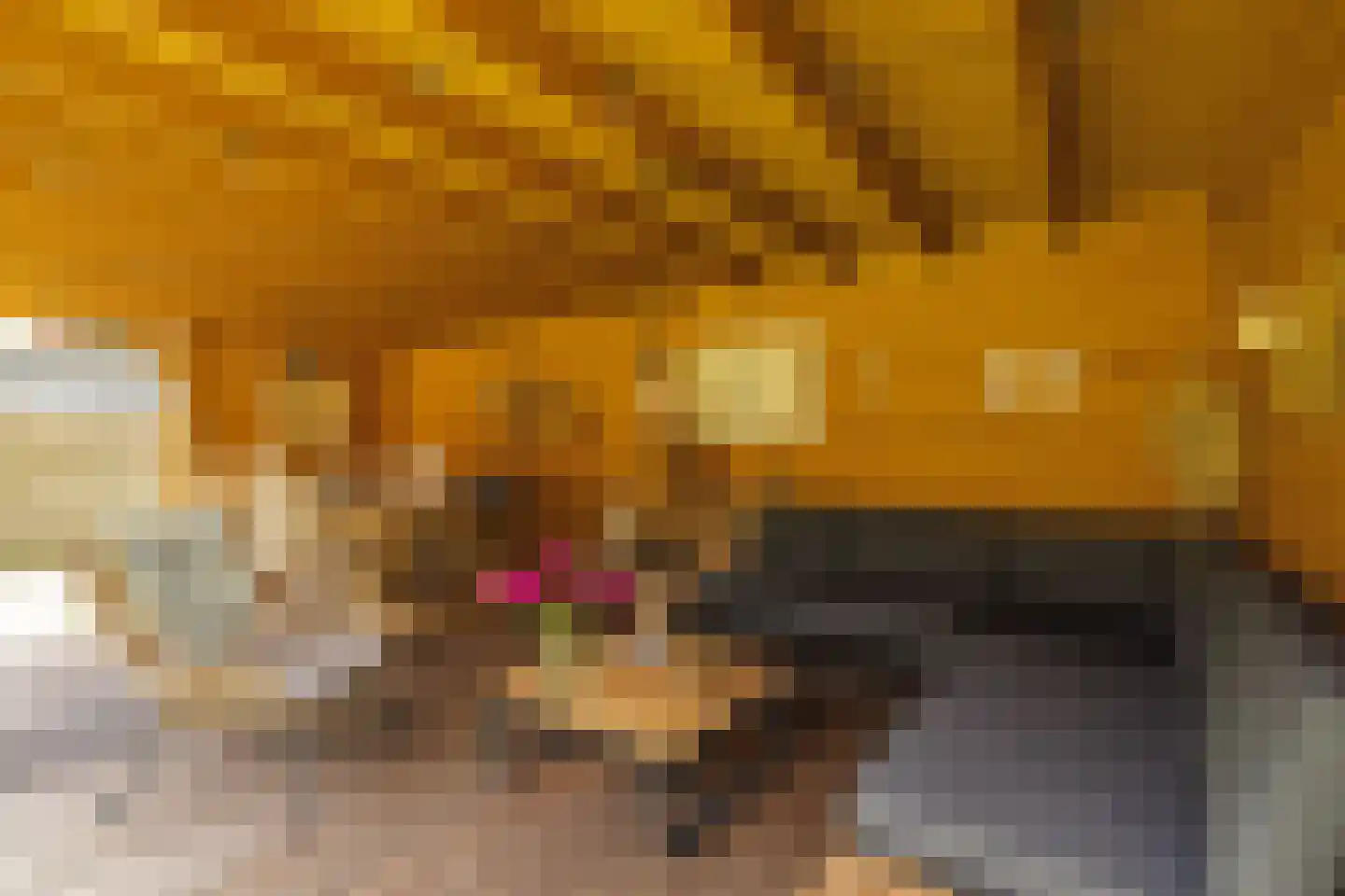 De Raaiberg 5 Rijsbergen thumbnail 39