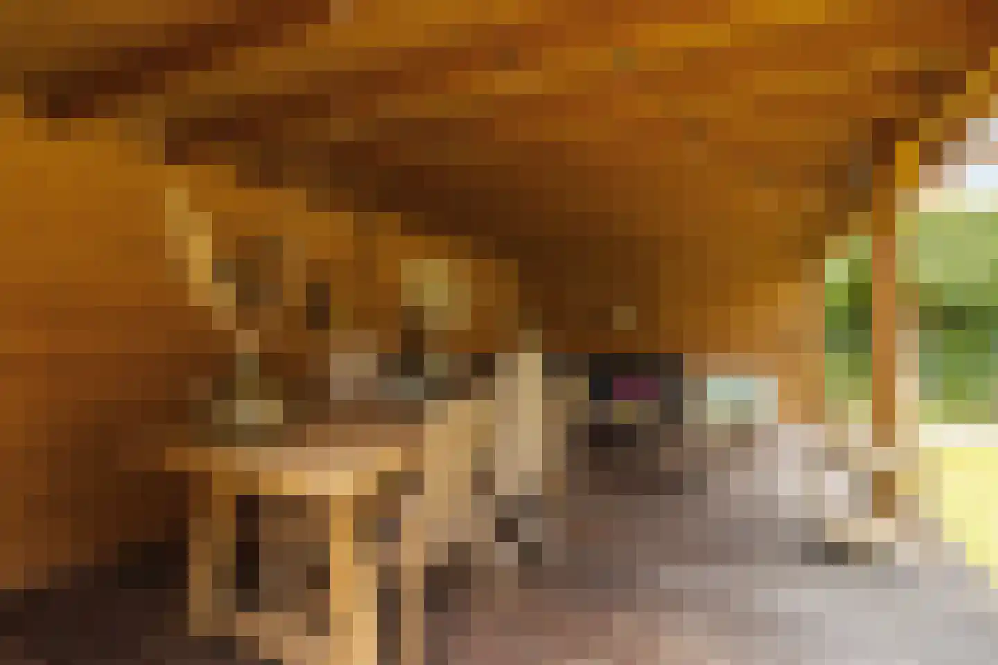 De Raaiberg 5 Rijsbergen thumbnail 40