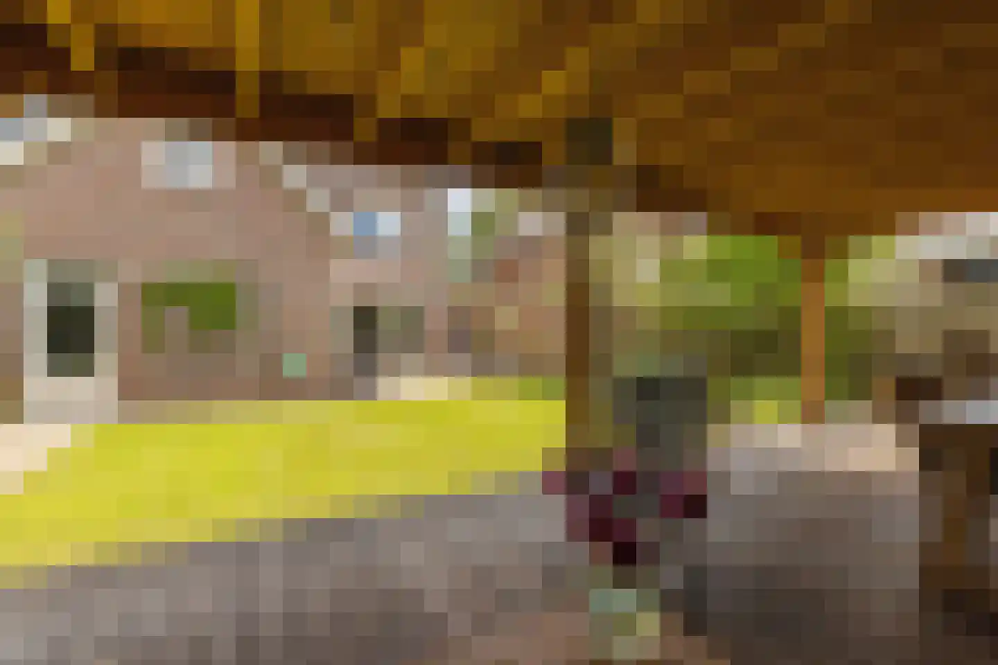 De Raaiberg 5 Rijsbergen thumbnail 41