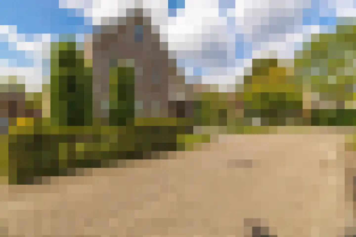 De Raaiberg 5 Rijsbergen thumbnail 43