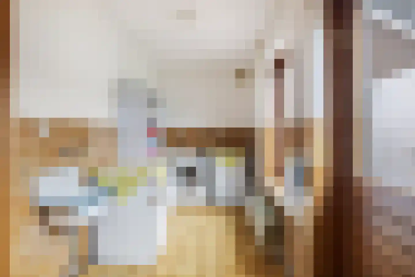 De Raemecker 5 Meijel thumbnail 14