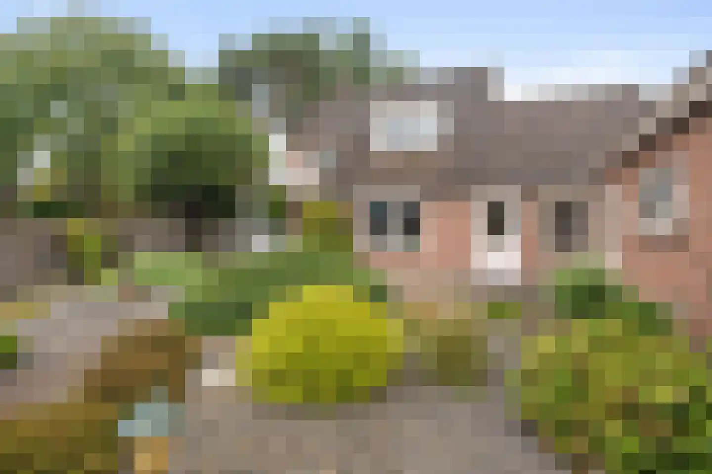 De Raemecker 5 Meijel thumbnail 33