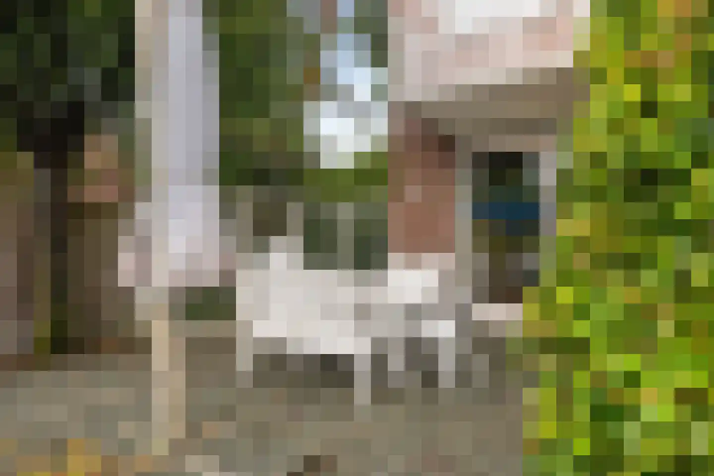 De Raemecker 5 Meijel thumbnail 36
