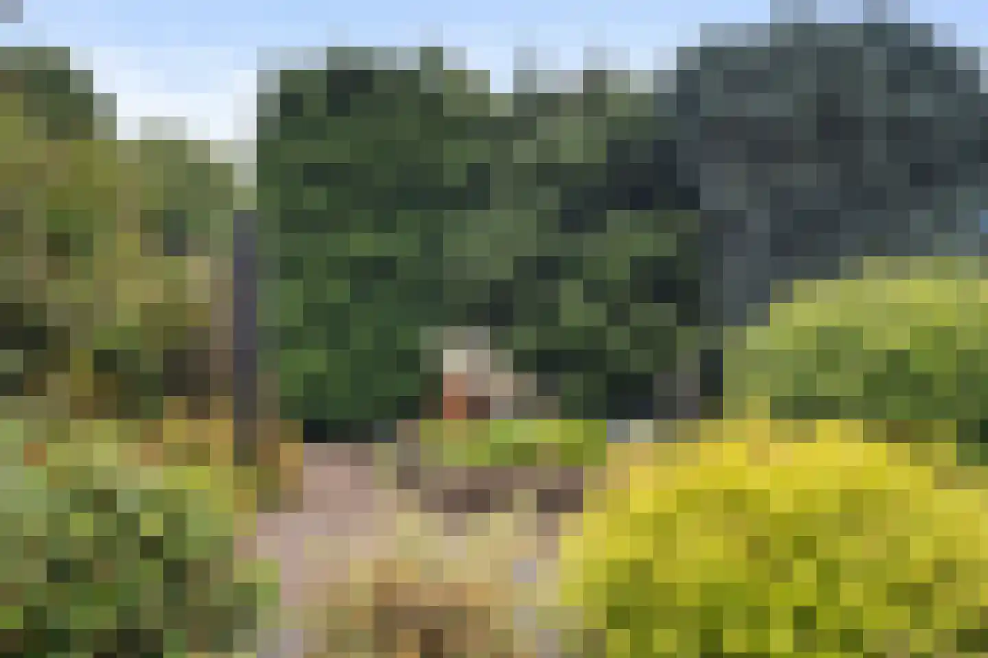 De Raemecker 5 Meijel thumbnail 4