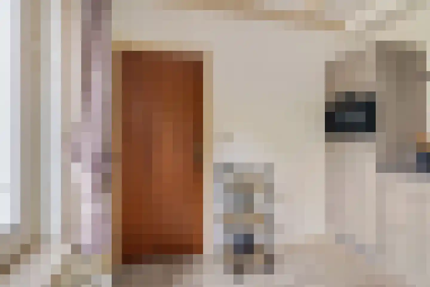 De Raemecker 6 Meijel thumbnail 15