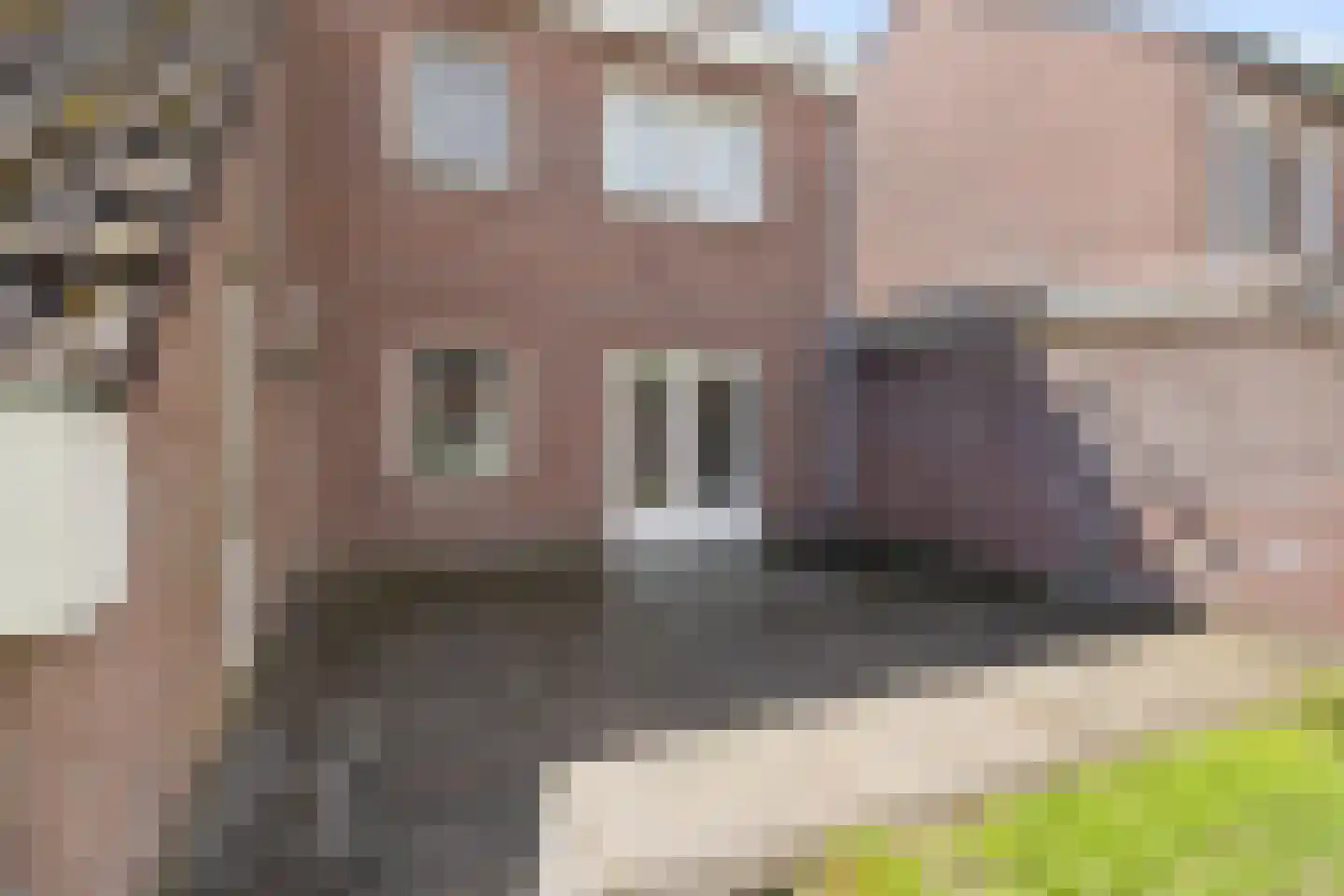 De Raemecker 6 Meijel thumbnail 42