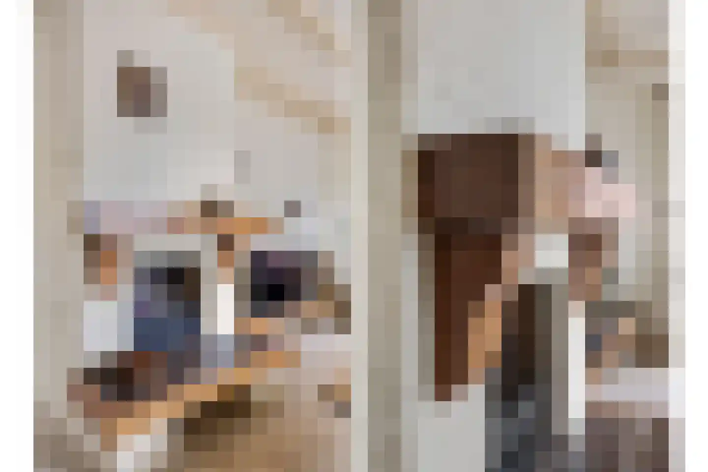De Raemecker 6 Meijel thumbnail 6