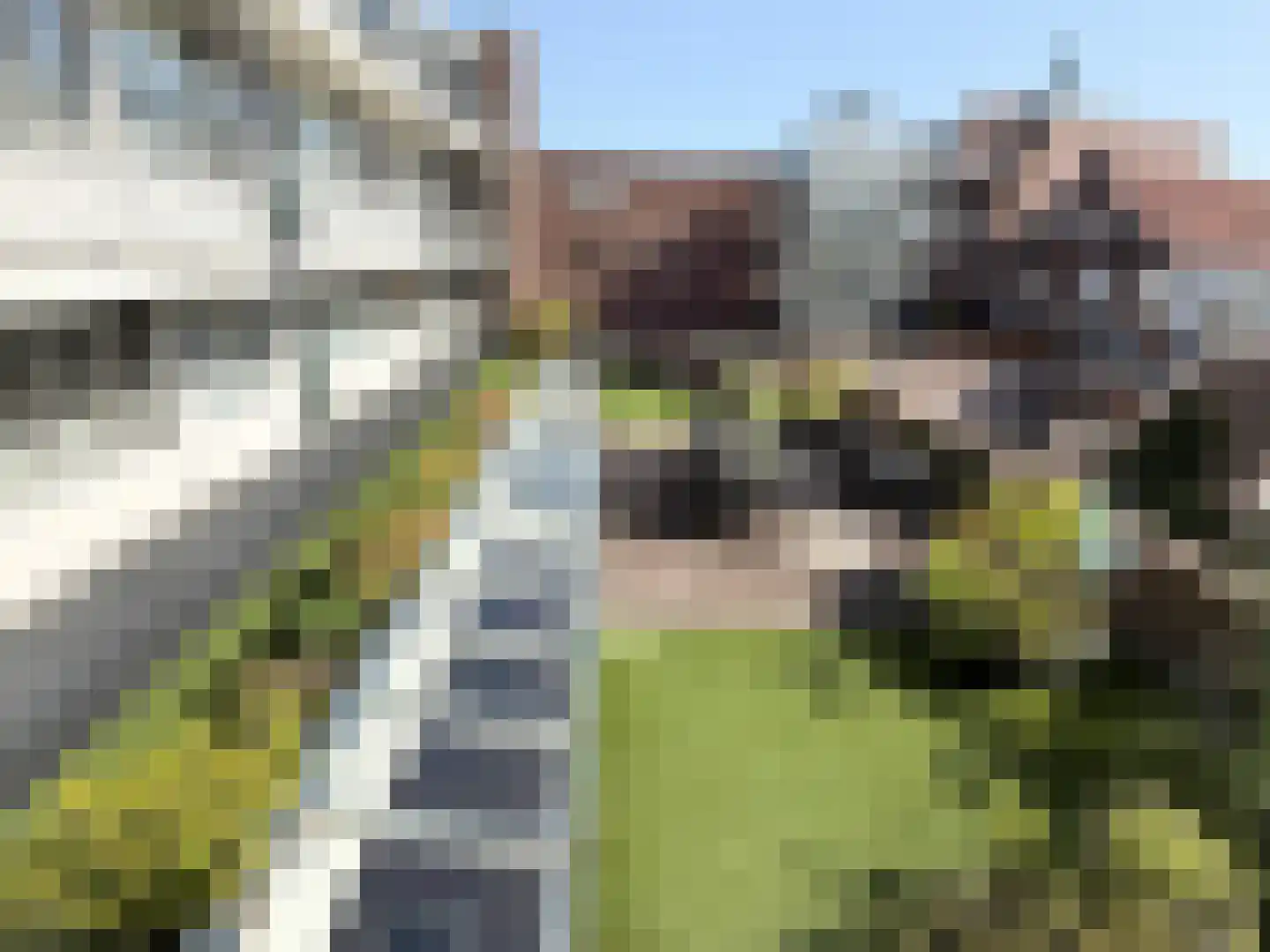 de Raep 21 Beverwijk thumbnail 6