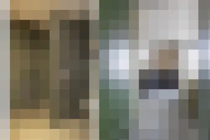 de Raep 23 Beverwijk thumbnail 19