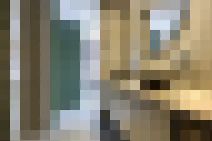 de Raep 23 Beverwijk thumbnail 21