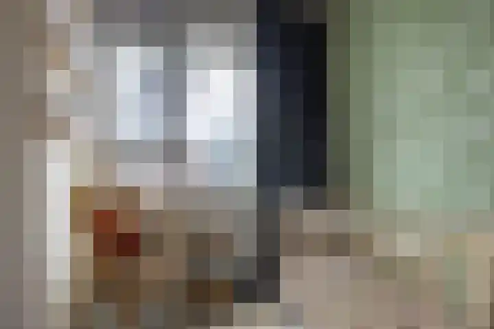 de Raep 23 Beverwijk thumbnail 30