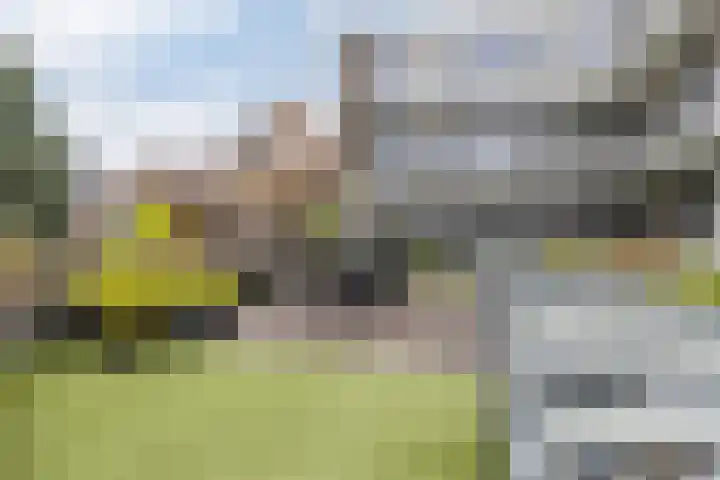 de Raep 23 Beverwijk thumbnail 33