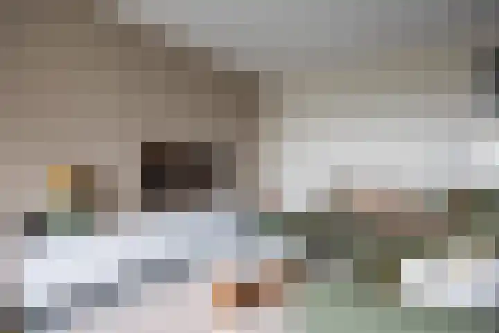 de Raep 23 Beverwijk thumbnail 8