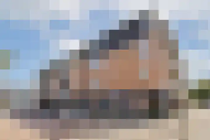 de Raep 27 Beverwijk thumbnail 14