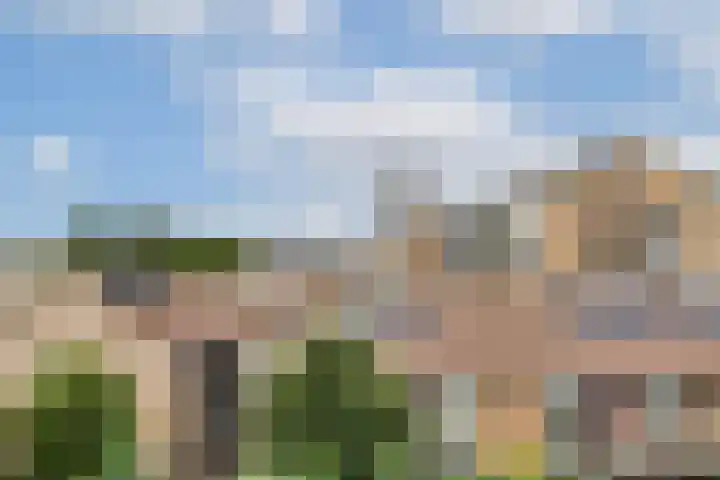 de Raep 27 Beverwijk thumbnail 15