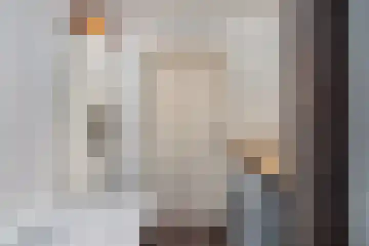 de Raep 31 Beverwijk thumbnail 21