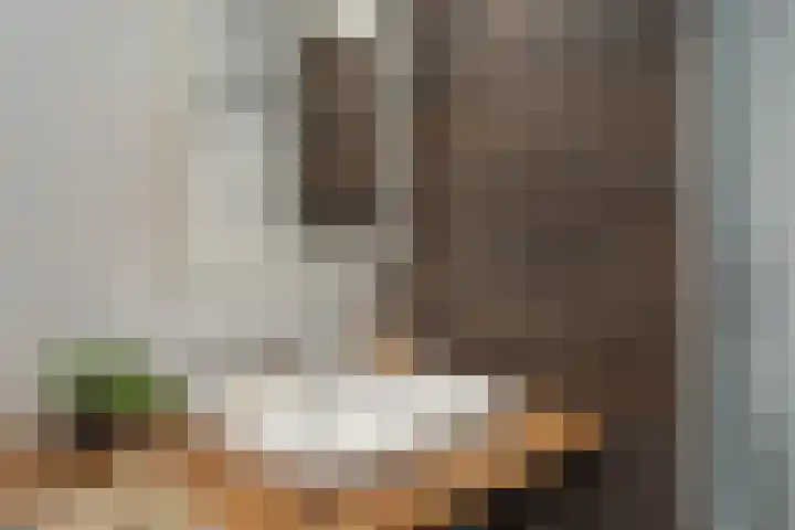 de Raep 31 Beverwijk thumbnail 22