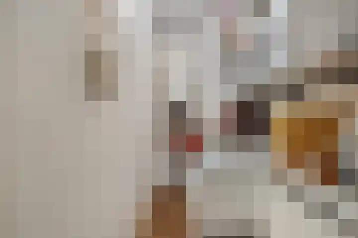 de Raep 31 Beverwijk thumbnail 27