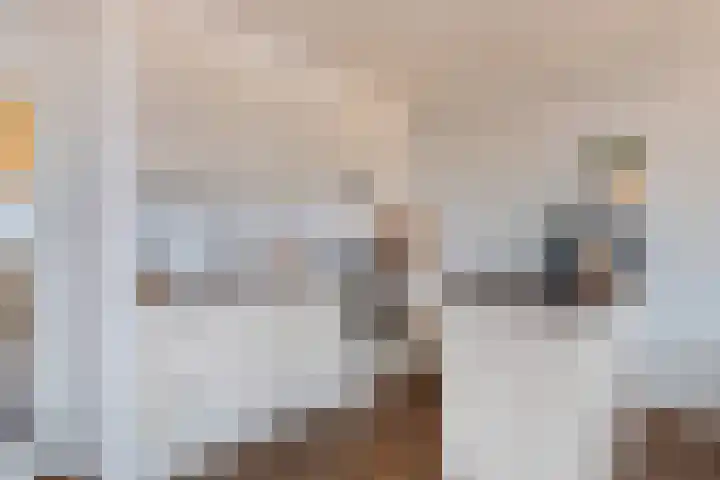 de Raep 31 Beverwijk thumbnail 6
