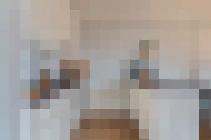 de Raep 31 Beverwijk thumbnail 7